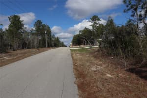 2251 BUENA VISTA ROAD, DUNNELLON, FL 34431 - MLS#MFROM694703