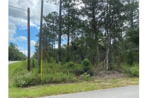 00 BUENA VISTA ROAD, DUNNELLON, FL 34431 - MLS#MFROM694711