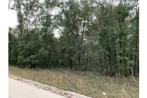tbd 160TH AVENUE, WILLISTON, FL 32696 Sold 07/07/25