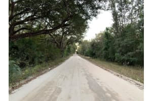 tbd 160TH AVENUE, WILLISTON, FL 32696 Sold 07/07/25