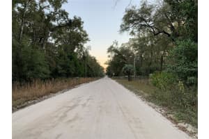 tbd 160TH AVENUE, WILLISTON, FL 32696 Sold 07/07/25