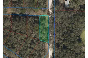 tbd 160TH AVENUE, WILLISTON, FL 32696 Sold 07/07/25