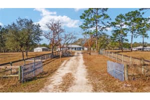 6730 123RD TERRACE, MORRISTON, FL 32668 Sold 03/19/25