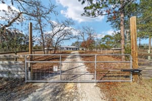 6730 123RD TERRACE, MORRISTON, FL 32668 Sold 03/19/25