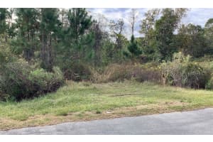 SW 161ST LOOP, OCALA, FL 34473 Sold 03/14/25