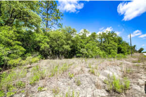 TBD SW PINEAPPLE HILL DRIVE, DUNNELLON, FL 34431 - MLS#MFROM694872