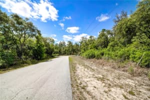 TBD SW PINEAPPLE HILL DRIVE, DUNNELLON, FL 34431 - MLS#MFROM694872