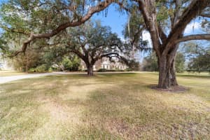 2775 53RD STREET, OCALA, FL 34471 - MLS#MFROM694907