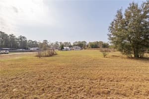 8597 126TH PLACE, BELLEVIEW, FL 34420 - MLS#MFROM694911