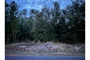 000 LOT 12 LOCUST COURSE RADIAL, OCALA, FL 34472 Sold 03/21/25
