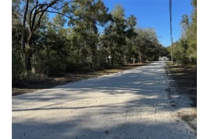Lot 347 ST. GEORGE DRIVE, DUNNELLON, FL 34432 Sold 03/19/25
