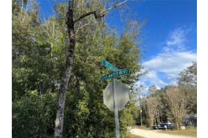 Lot 347 ST. GEORGE DRIVE, DUNNELLON, FL 34432 Sold 03/19/25
