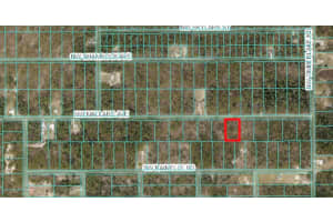 00 MALLARD AVENUE, DUNNELLON, FL 34431 - MLS#MFROM695017