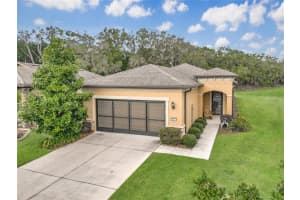 9697 Sw 63rd Loop, OCALA