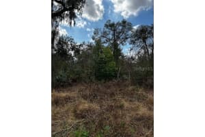 0 CYPRESS ROAD, LOT 12, OCALA, FL 34472 - MLS#MFROM695050