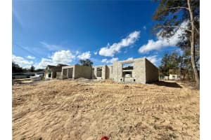 15864 98TH TERRACE, SUMMERFIELD, FL 34491 - MLS#MFROM695093