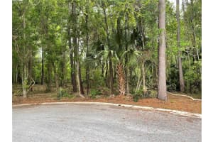 SE 43RD ST, OCALA, FL 34480 - MLS#MFROM695128