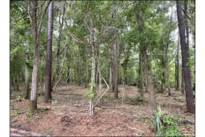 SE 43RD ST, OCALA, FL 34480 - MLS#MFROM695128