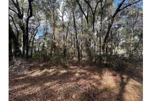 0000 SW 189TH CT. DUNNELLON FL, DUNNELLON, FL 34432 Sold 04/17/25