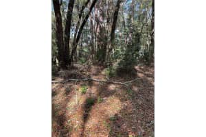 0000 SW 189TH CT. DUNNELLON FL, DUNNELLON, FL 34432 Sold 04/17/25