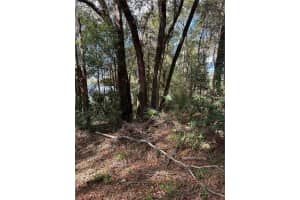 0000 SW 189TH CT. DUNNELLON FL, DUNNELLON, FL 34432 Sold 04/17/25