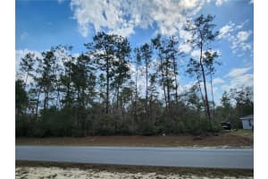 TBD 32 CIRCLE, OCALA, FL 34473 - MLS#MFROM695192