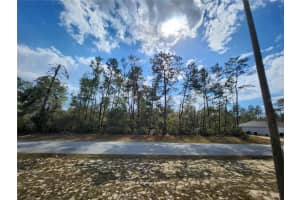 TBD 32 CIRCLE, OCALA, FL 34473 - MLS#MFROM695192