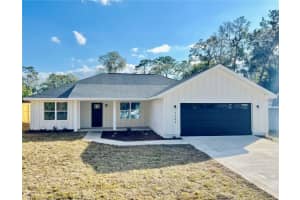 8295 159TH LANE, SUMMERFIELD, FL 34491 Sold 07/21/25