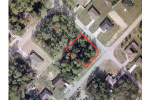 0 44 CIRCLE, OCALA, FL 34473 - MLS#MFROM695213