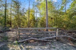 TBD 36TH STREET, OCALA, FL 34481 - MLS#MFROM695238