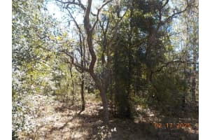 964 WACKER STREET, HERNANDO, FL 34442 Sold 05/30/25