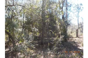 964 WACKER STREET, HERNANDO, FL 34442 Sold 05/30/25