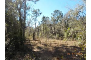 964 WACKER STREET, HERNANDO, FL 34442 Sold 05/30/25