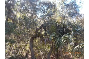 964 WACKER STREET, HERNANDO, FL 34442 Sold 05/30/25