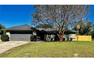 4691 138TH PLACE, SUMMERFIELD, FL 34491 Sold 03/31/25
