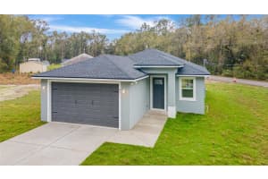 47 SEQUOIA LOOP, OCKLAWAHA, FL 32179 - MLS#MFROM695275