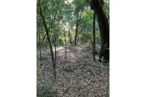 SW HWY 484, DUNNELLON, FL 34432 - MLS#MFROM695298