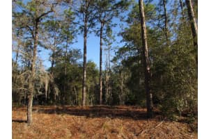 Lot 12 68 LOOP, DUNNELLON, FL 34432 Sold 04/18/25