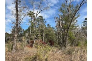 TBD 158TH LANE, DUNNELLON, FL 34432 Sold 06/26/25