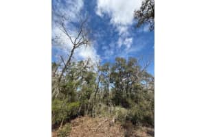 TBD 158TH LANE, DUNNELLON, FL 34432 Sold 06/26/25