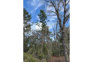 TBD 158TH LANE, DUNNELLON, FL 34432 Sold 06/26/25