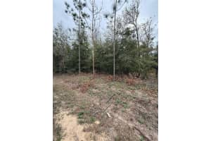 SW 16TH PL, OCALA, FL 34481 Sold 04/04/25