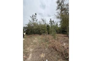 SW 16TH PL, OCALA, FL 34481 Sold 04/04/25