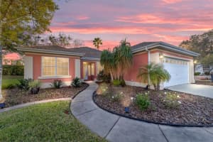 13625 93RD COURT ROAD, SUMMERFIELD, FL 34491 Sold 08/18/25