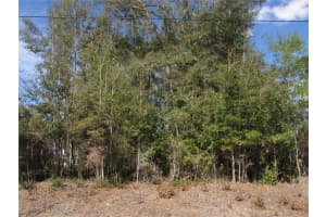 Lot 32 ROBIN DRIVE, DUNNELLON, FL 34431 Sold 06/23/25