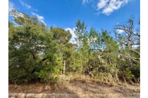 NE 159TH CT, FORT MC COY, FL 32134 Sold 04/16/25