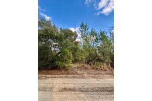 NE 159TH CT, FORT MC COY, FL 32134 Sold 04/16/25
