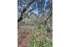 NE 159TH CT, FORT MC COY, FL 32134 Sold 04/16/25