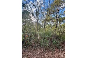 NE 159TH CT, FORT MC COY, FL 32134 Sold 04/16/25