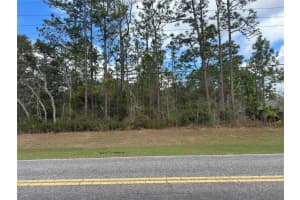 3103 CITRUS SPRINGS BOULEVARD, CITRUS SPRINGS, FL 34433 Sold 03/27/25